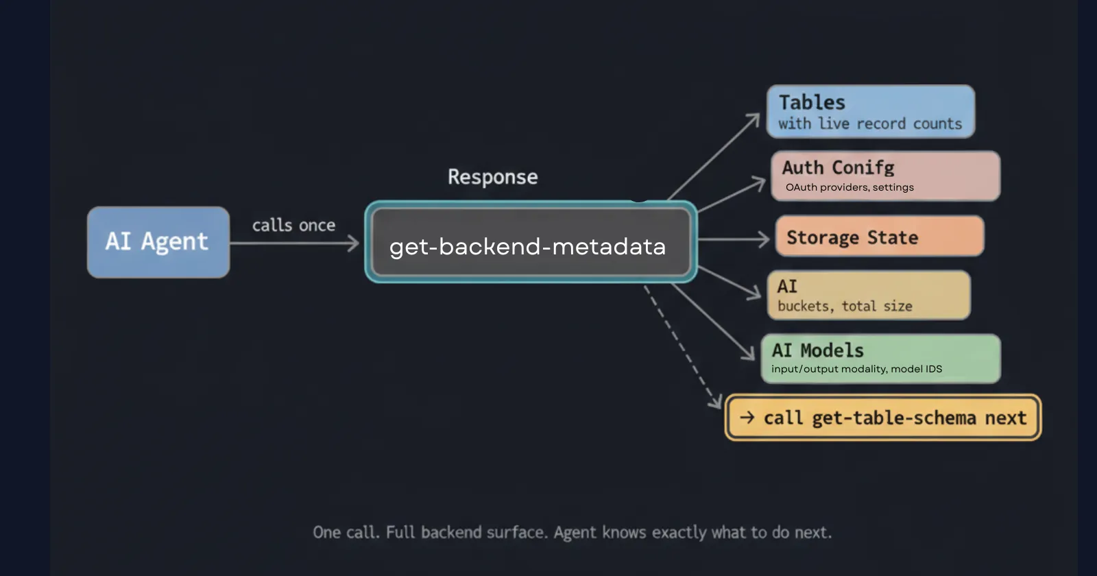 Everything the agent gets from a single get-backend-metadata call
